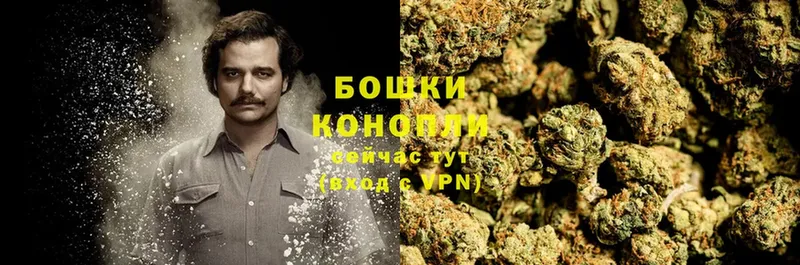 Бошки марихуана OG Kush  kraken tor  Карпинск 